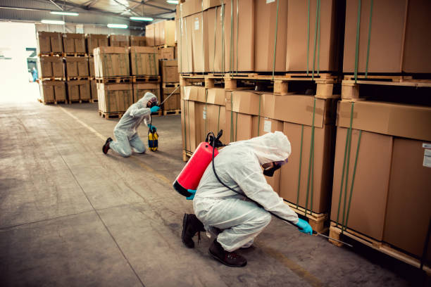 Best Local Pest Control Services  in Shippensburg University, PA