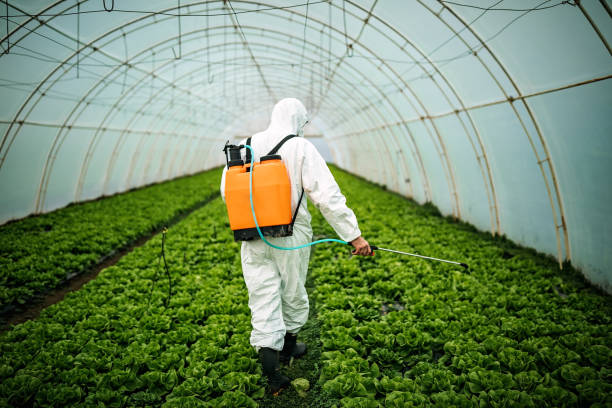 Best Pest Control for Restaurants  in Shippensburg University, PA
