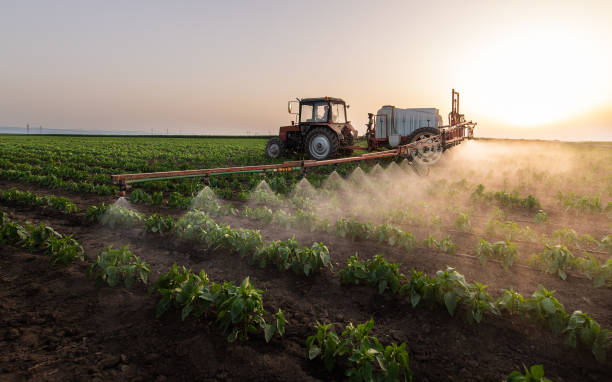 Best Commercial Pest Control Services  in Shippensburg University, PA