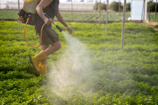 Trusted Shippensburg University, PA Pest Control Experts