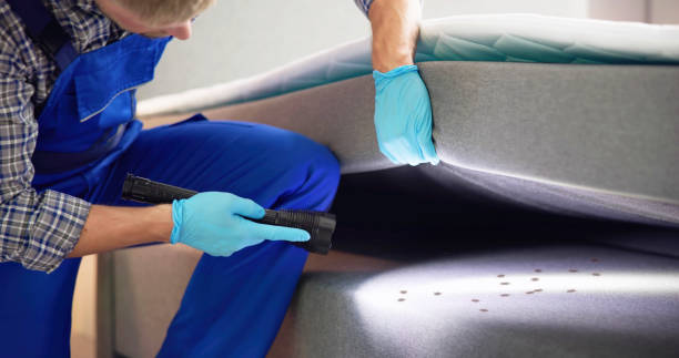 Flea Control Services in Shippensburg University, PA