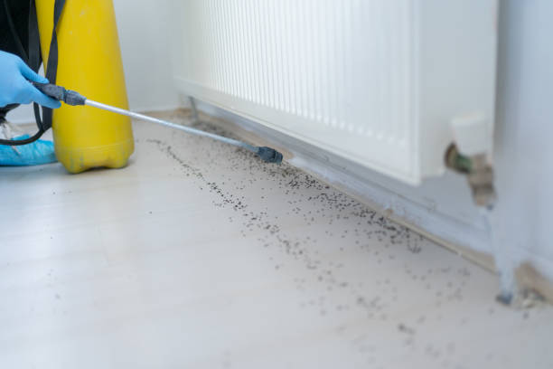 Pest Control for Restaurants in Shippensburg University, PA